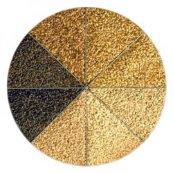 Kit Receita | Loira | 5 litros