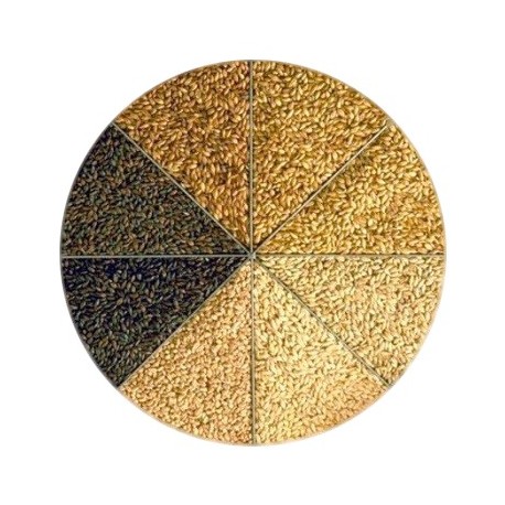 Kit Receita | Loira | 5 litros